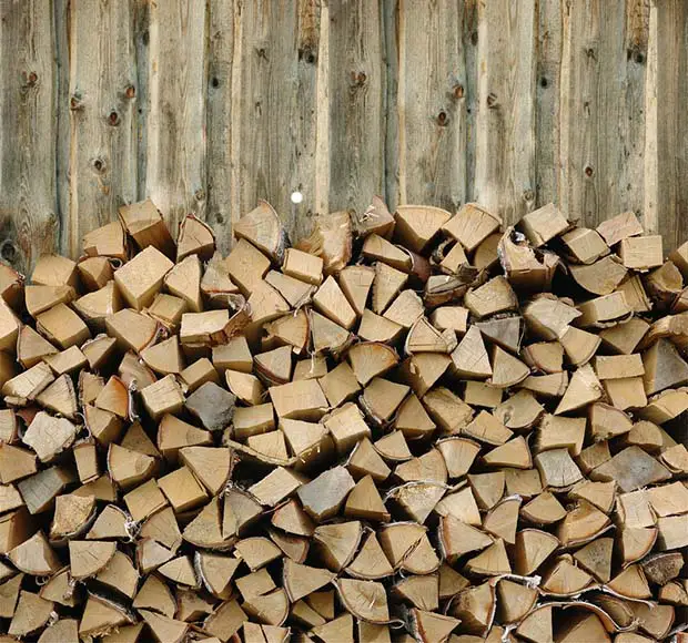 How Long Does It Take for Wood to Dry Out