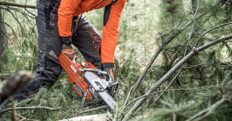 Can You Use a Chainsaw on Wet Wood
