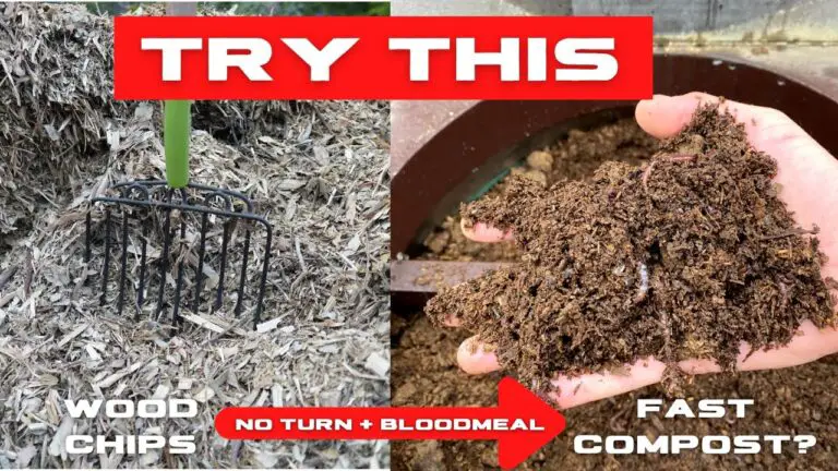 How to Decompose Wood Fast