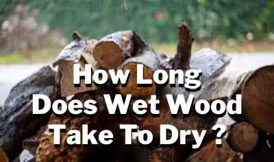 How Long Does It Take Wood to Dry After Rain