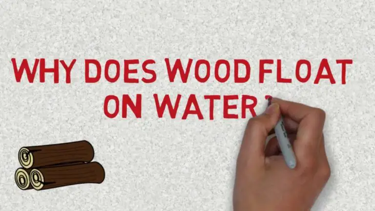 Does All Wood Float