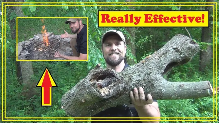 How to Dry Wet Wood Fast