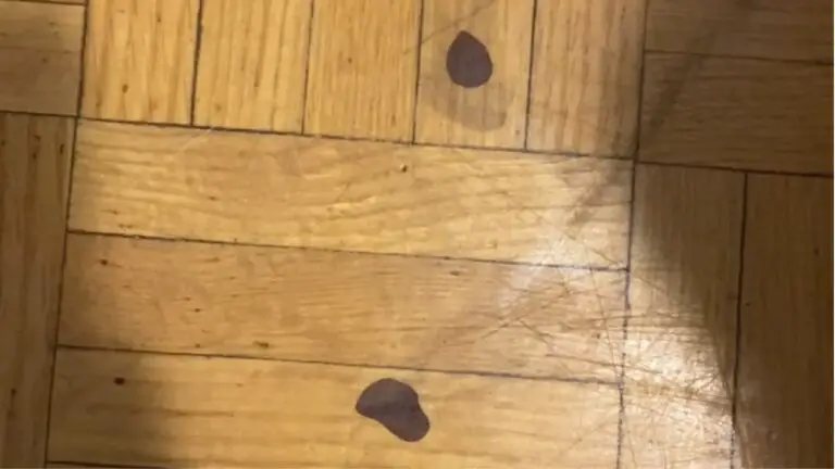 How to Get Black Hair Dye off Wood Floor