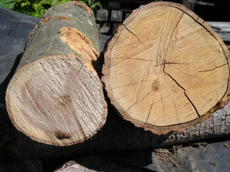 Difference between Seasoned And Unseasoned Wood