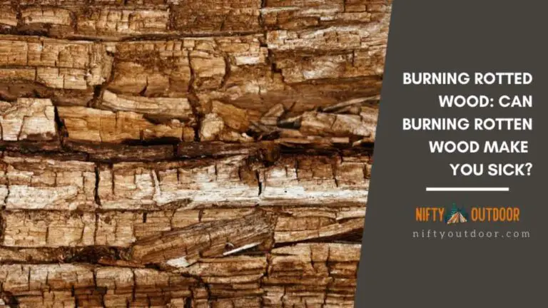 Can Burning Rotten Wood Make You Sick