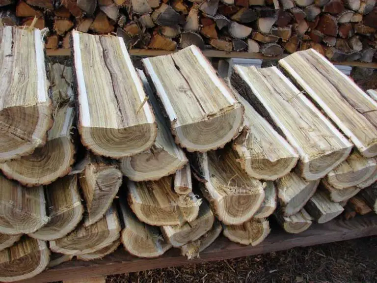 Is Locust Wood Good to Burn