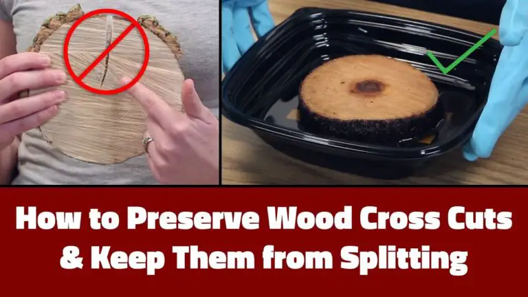 How to Preserve Wood Slices