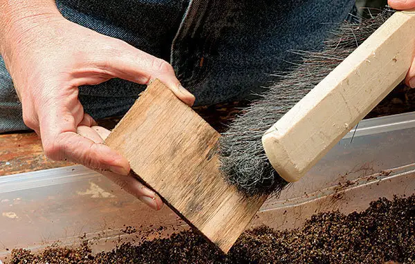 How to Spalt Wood