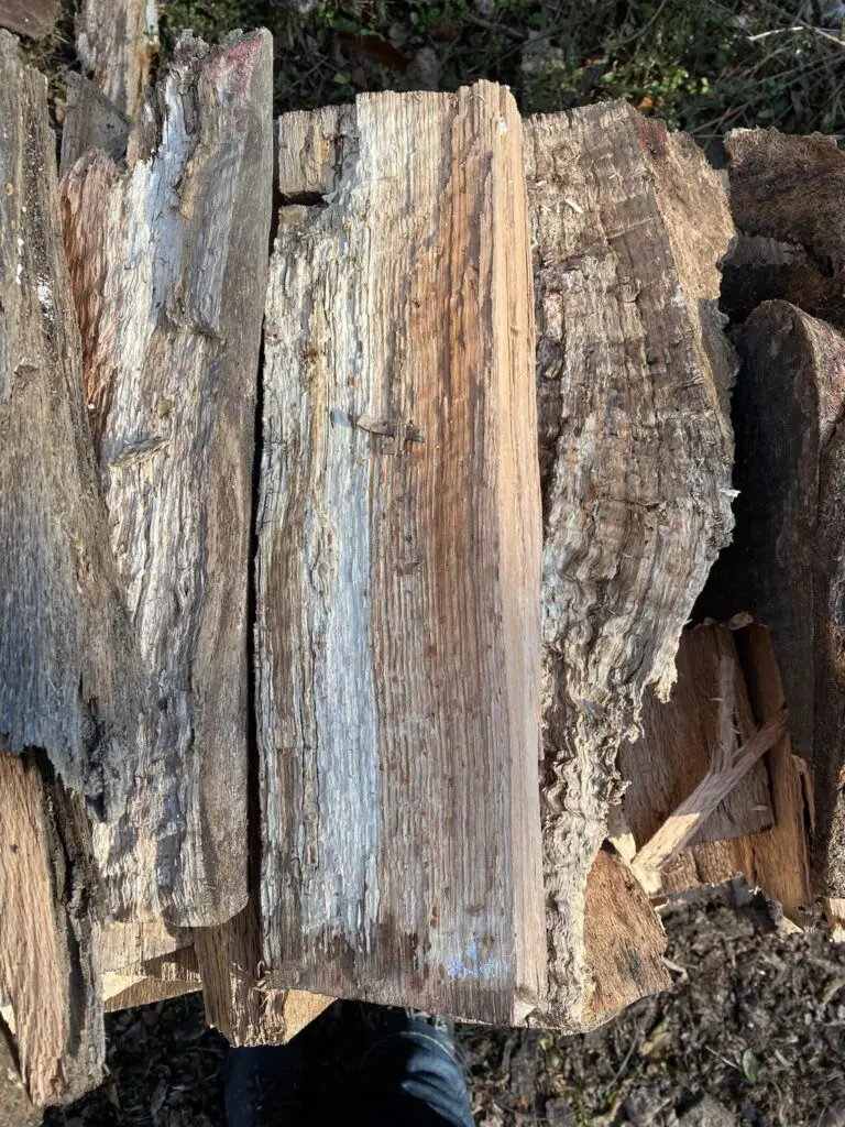 How to Tell If Firewood is Rotten