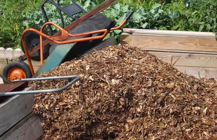 What to Do With Wood Chips from Chipper