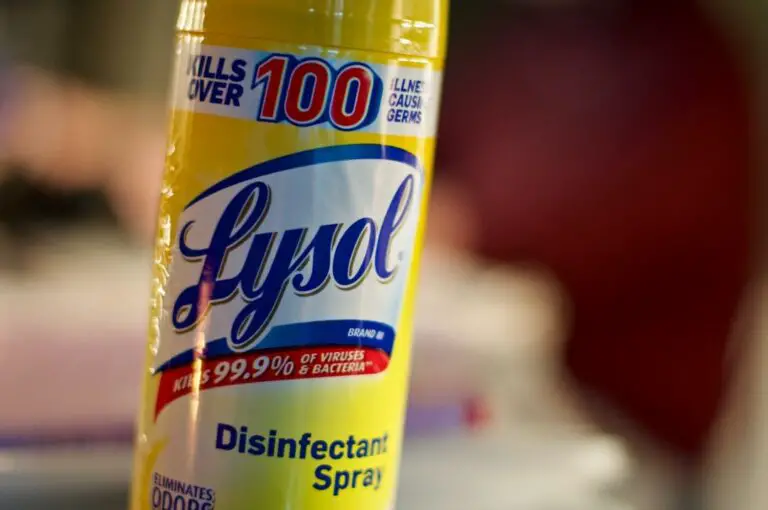 Does Lysol Kill Mold on Wood