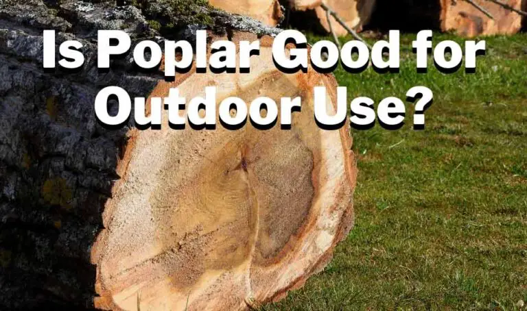 Is Poplar Wood Good for Outdoors