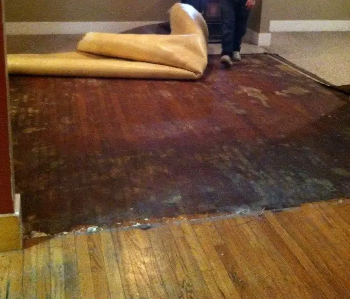 How to Get Carpet Glue off Wood Floors