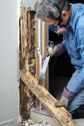 How to Fix Termite Damaged Wood