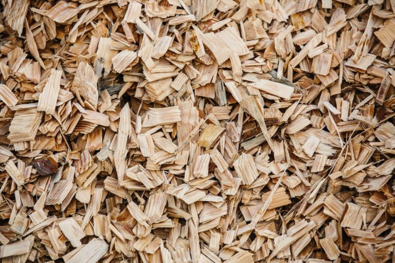 Best Brand of Wood Chips for Smoking