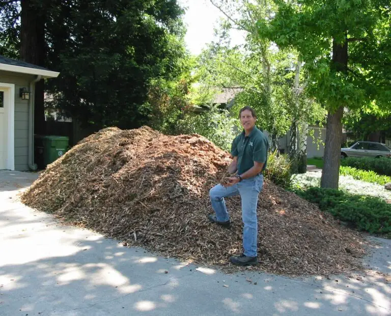 How to Get Free Wood Chips