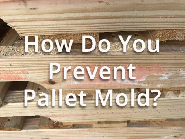 How to Prevent Mold on Wood