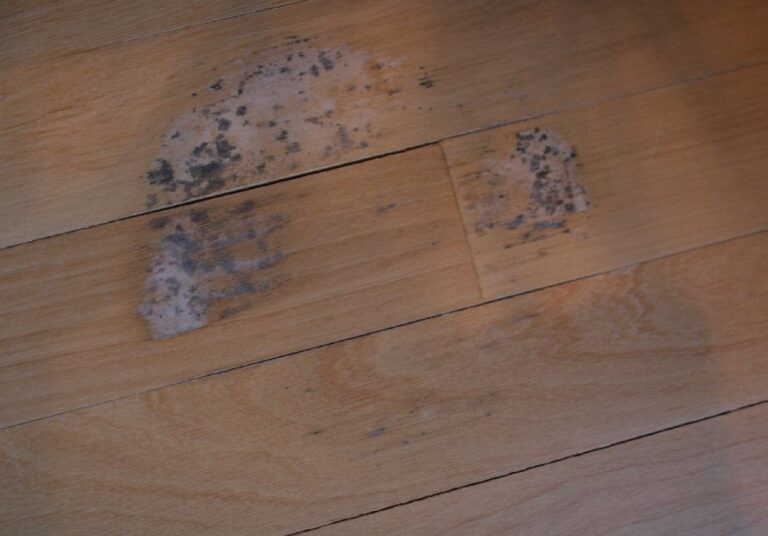 How to Get Black Mold Out of Wood Floors