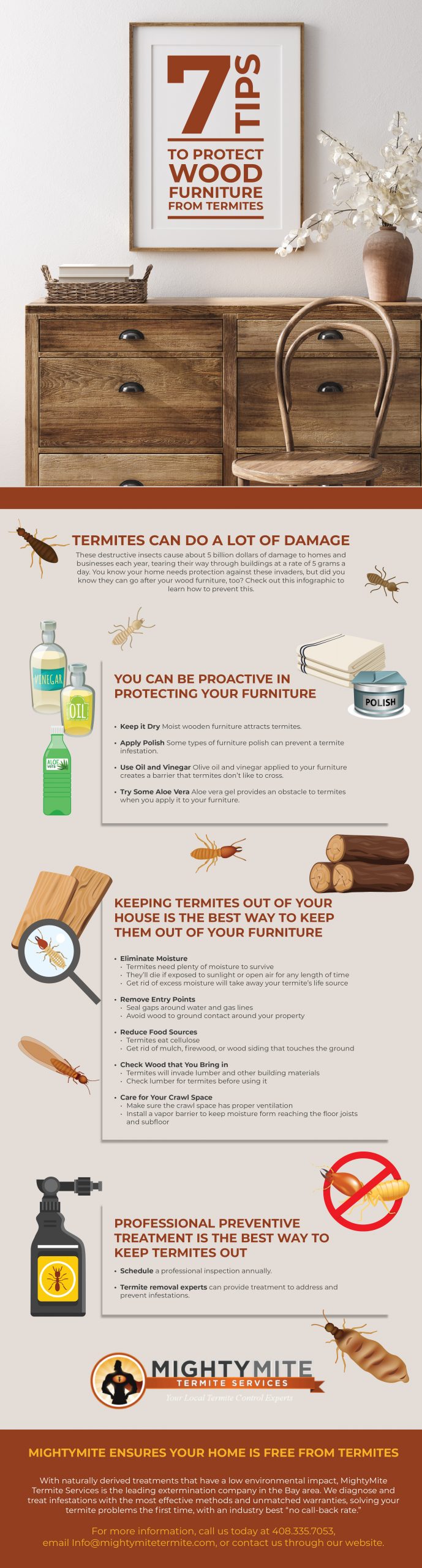 How to Protect Wood from Termites