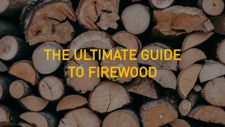 Is Willow Tree Wood Good to Burn: Eco-Friendly Firewood Tips
