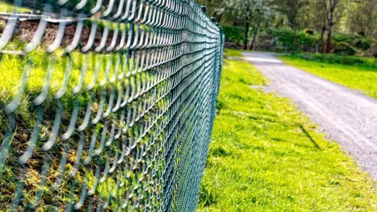 Is Wood Or Chain Link Fence Cheaper  : The Ultimate Cost Comparison
