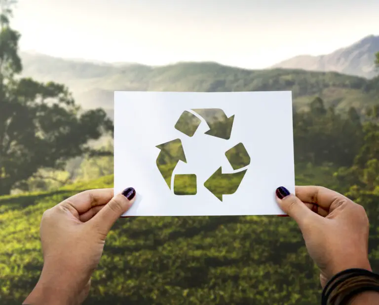 Is Wood Recyclable in California: A Sustainable Solution