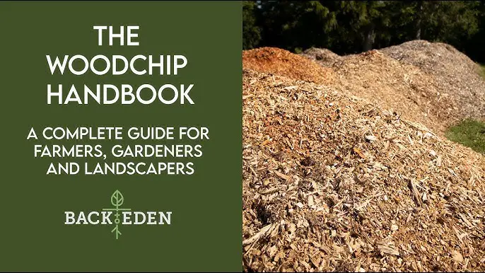 Where Can I Get Free Wood Chips  : Ultimate Guide